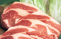食材