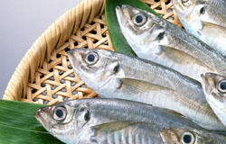 食材