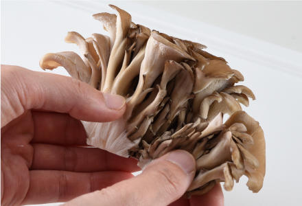 小房に分ける舞茸